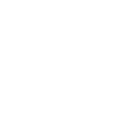 PRAGMATIC